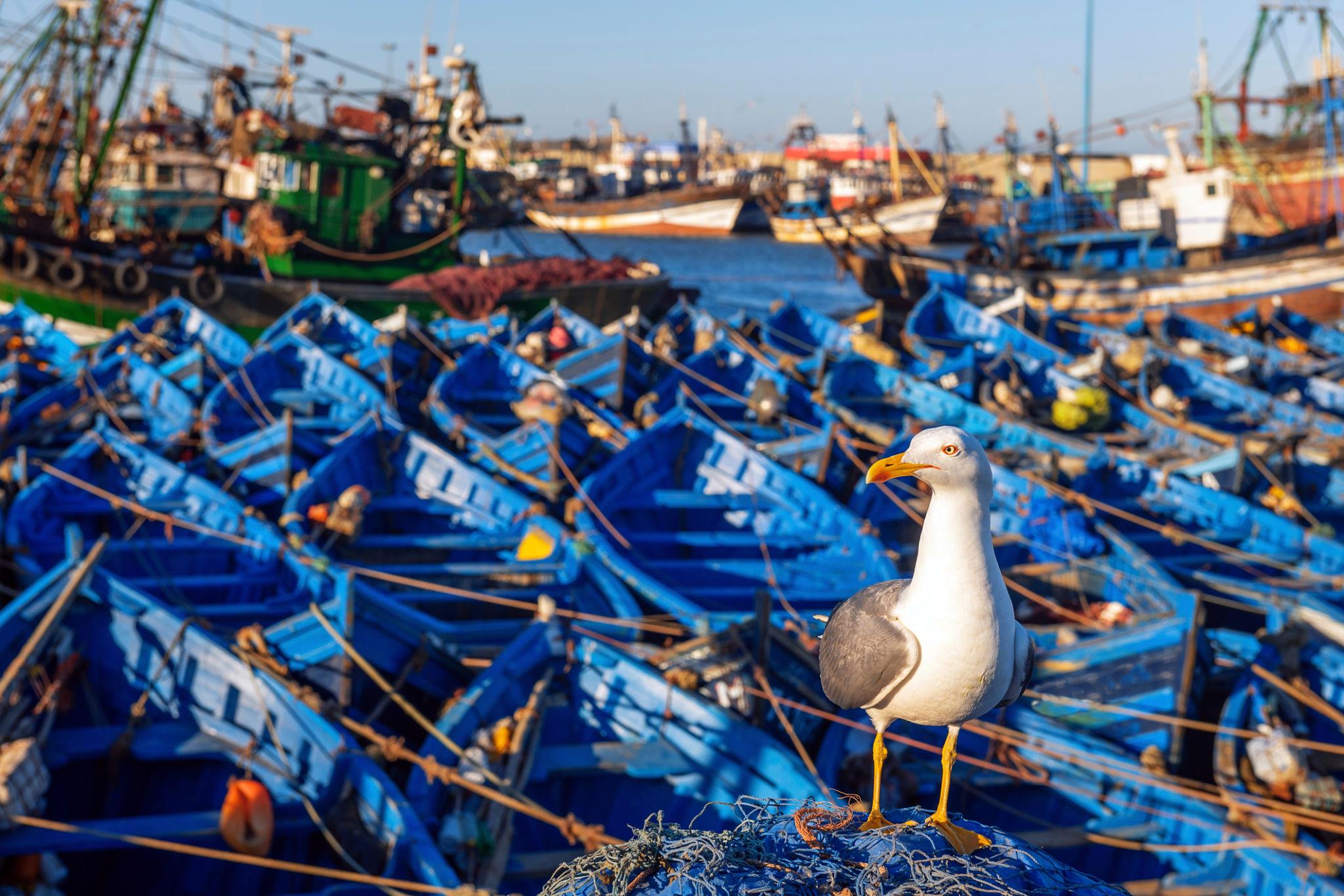 Le Grand Tour du Maroc 14 jours/ 13 nuits - photo 5