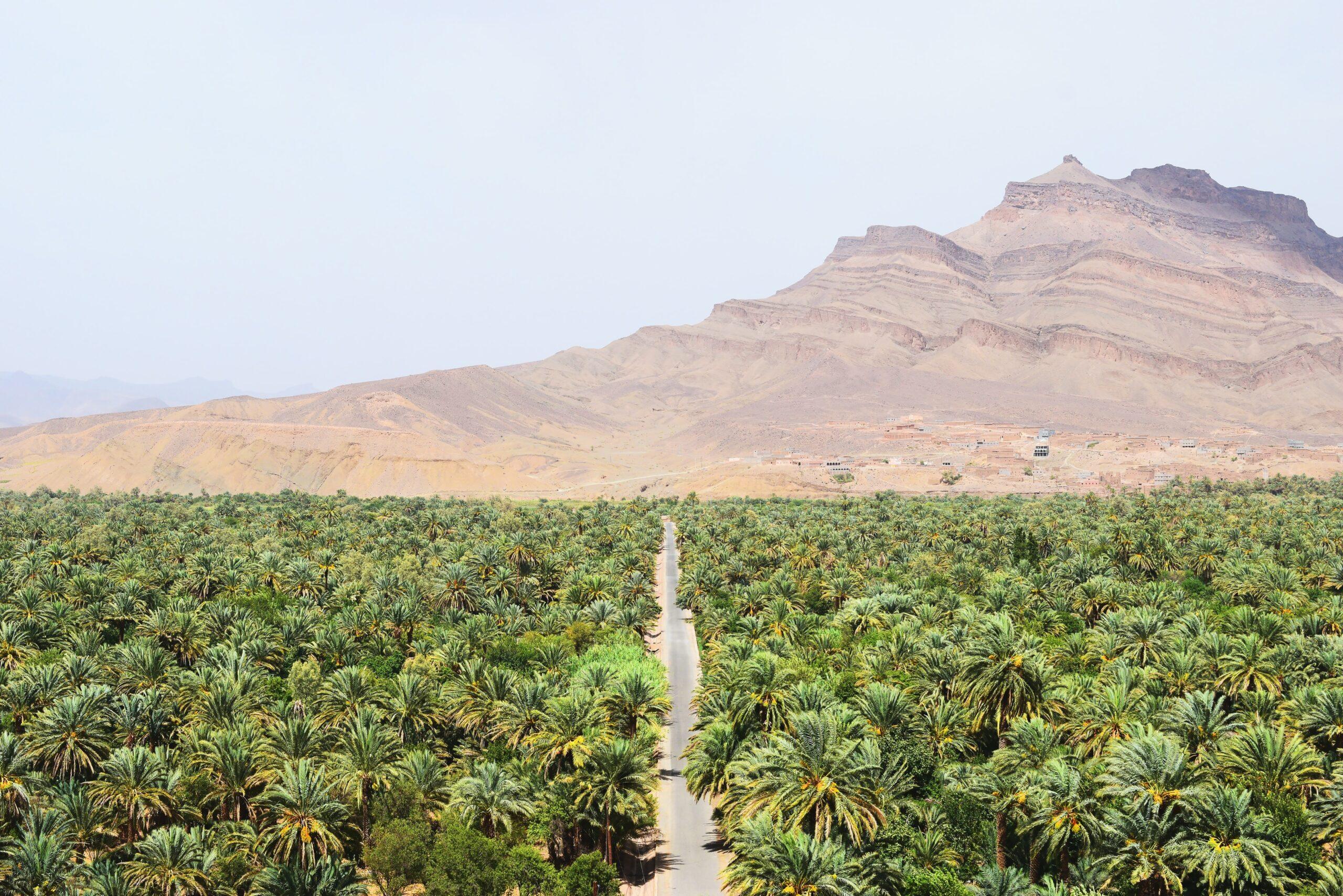 Circuit 6 jours en groupe vers Zagora & Merzouga - photo 3