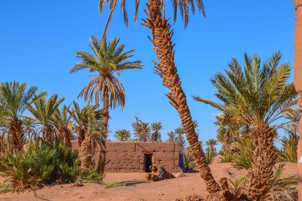 Merzouga- Rissani – Alnif - Zagora - M'Hamid