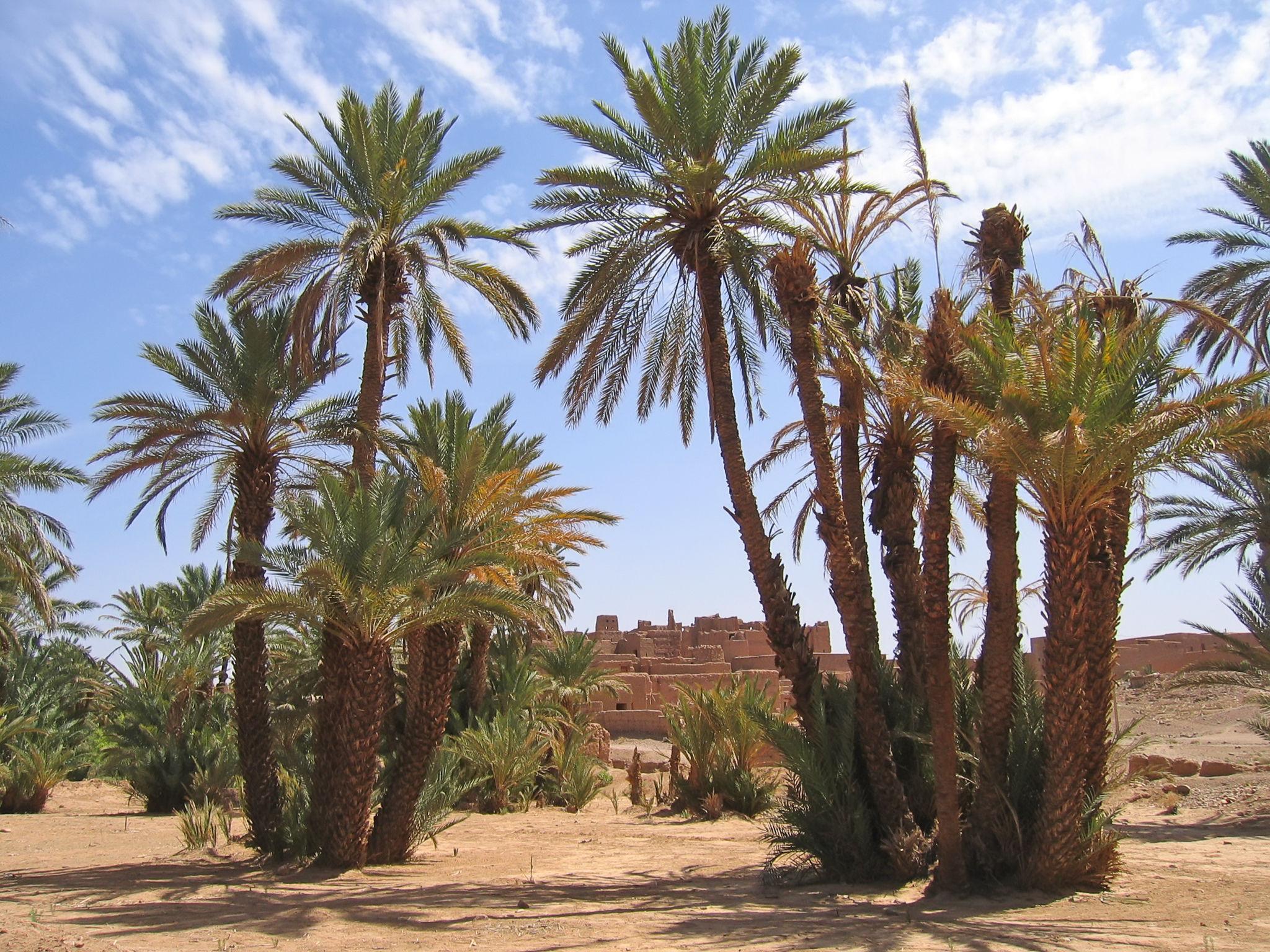M’Harech – Zagora