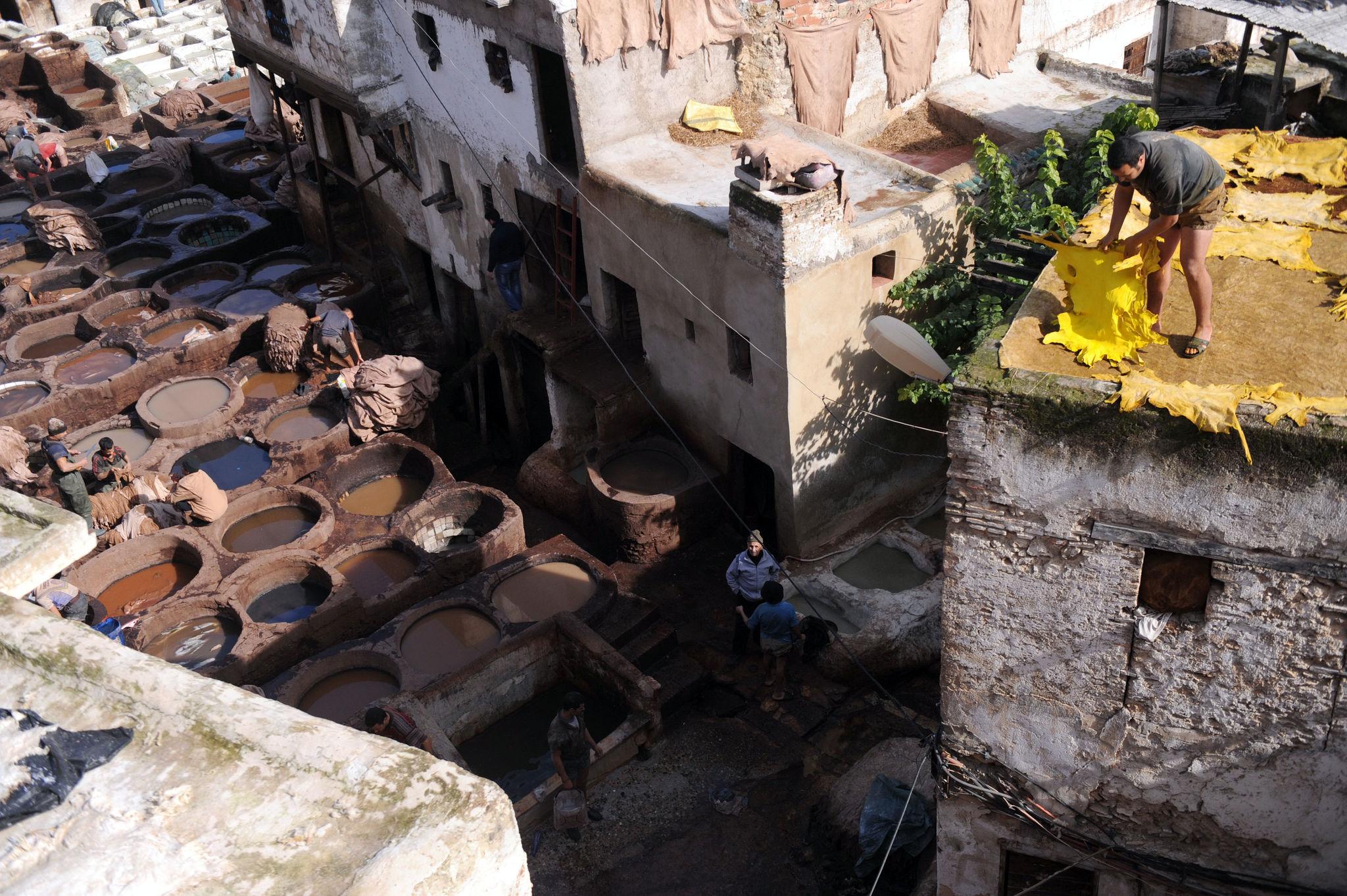 Découverte de Fès