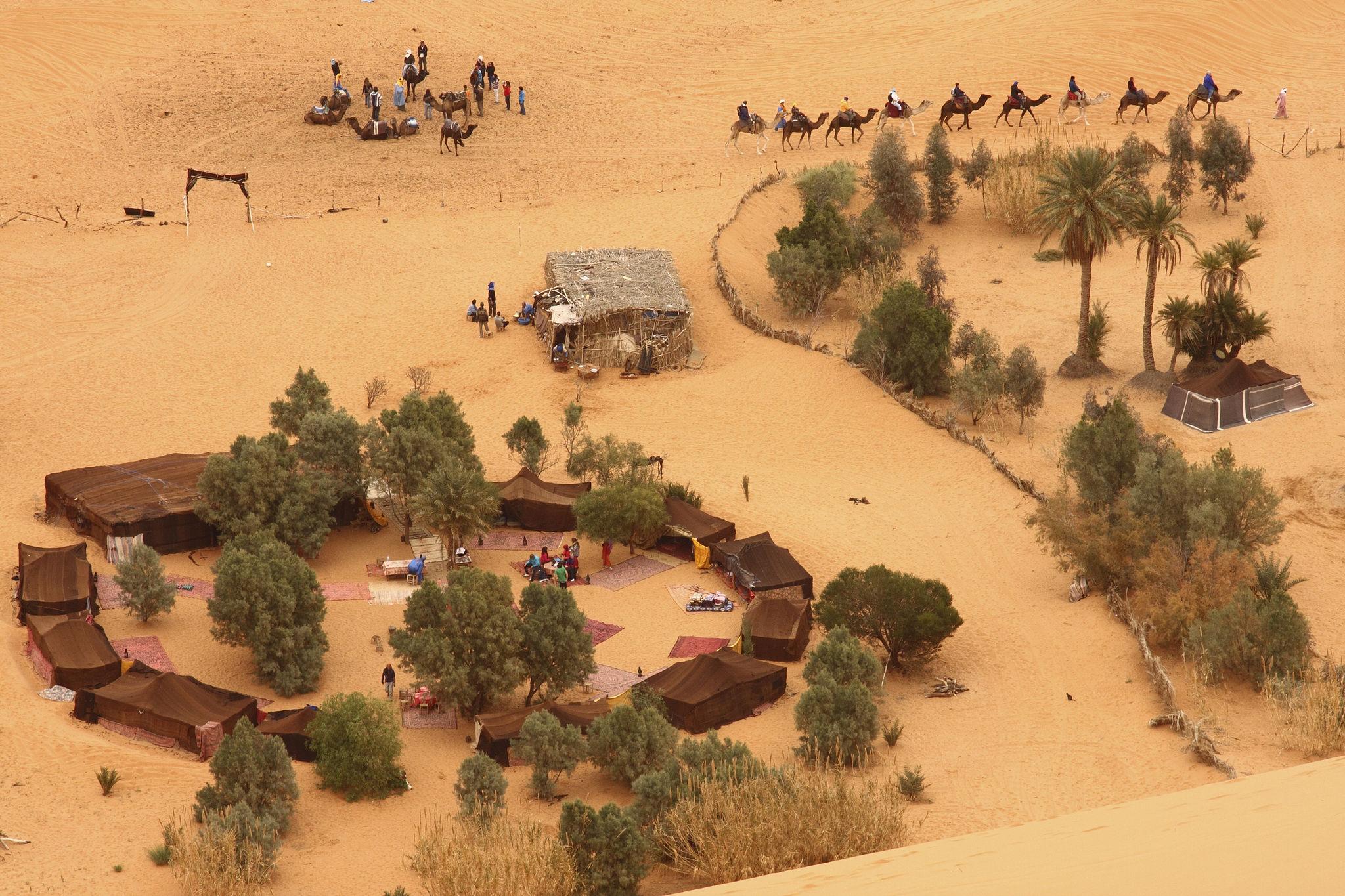 Fès ➔ Ifrane ➔ Merzouga