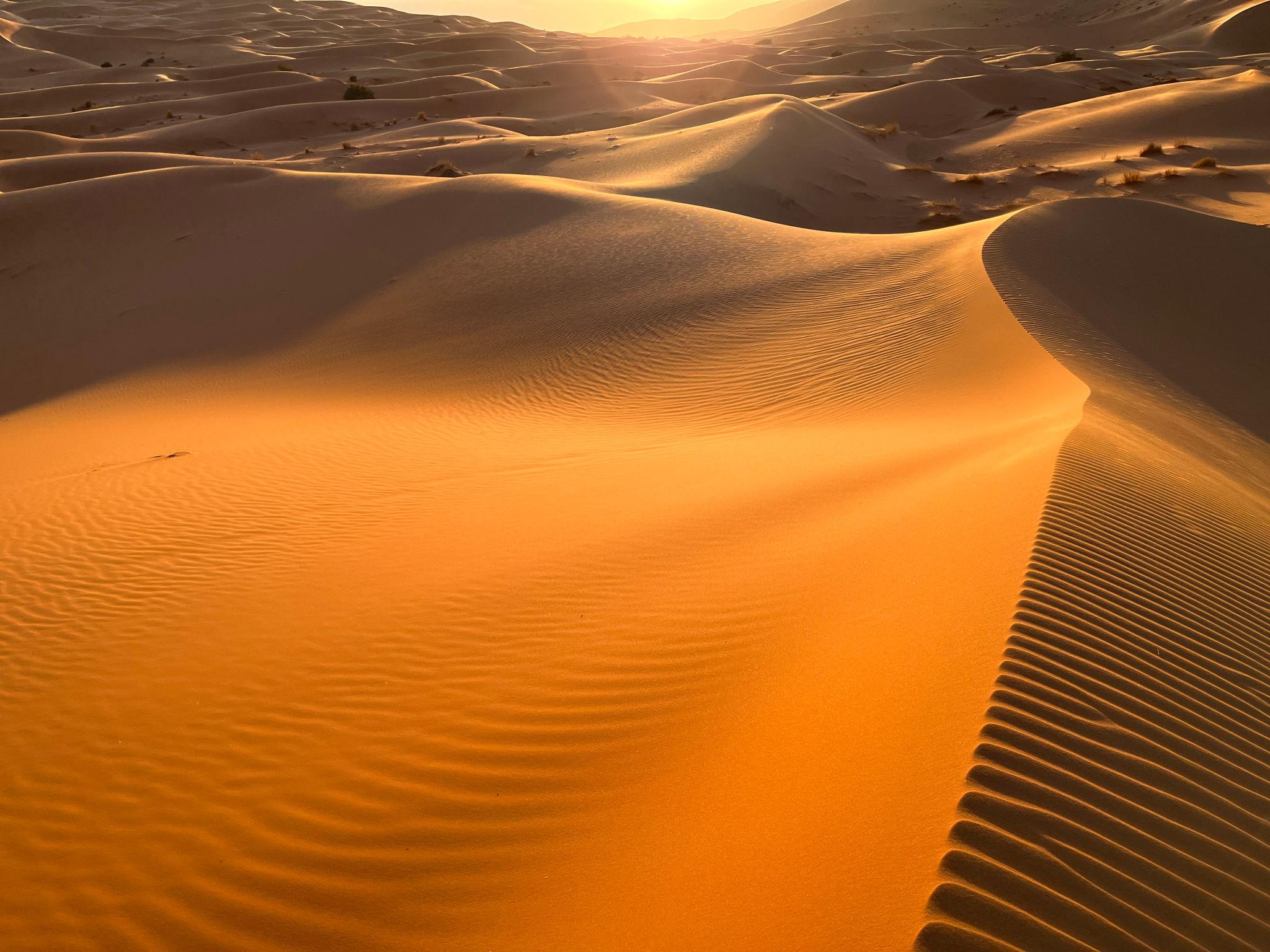 Zagora - Tansikht -Nqob - Tazzarine-Alnif- Erfoud - Merzouga